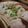 LOVE PIECE's cooksnap of when they made さっぱり！！茹で豚～で酢！＊.
