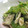 umemodoki's cooksnap of when they made ササッと簡単！ささみと豆もやしのおつまみ.