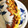 Re1215's cooksnap of when they made 簡単 伊勢海老のタルタルソース焼き.