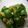 べっこうまめ's cooksnap of when they made 簡単☆梅オクラ.
