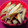 nosso's cooksnap of when they made ほんのりクリーミー ごぼうのきんぴら.