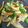 クックYIMPJ1☆'s cooksnap of when they made ピーマンちくわのきんぴら.