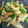 クックYIMPJ1☆'s cooksnap of when they made ピーマンちくわのきんぴら.