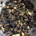 うさキキ's cooksnap of when they made 妊婦さんにも♪お手軽＆薄味！ひじきの煮物.