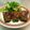 ktamu2's cooksnap of when they made ピーマンの肉詰め＊とり挽き肉で.