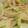 ★アイビス★'s cooksnap of when they made 林檎ときゅうりの素朴なサラダ.