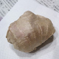 ♡ともりん's cooksnap of when they made しょうがの一先ず保存はこれ！.