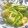 低カロ探検隊's cooksnap of when they made 風味最高！厚揚げとセリの炒め物(´∇｀*.