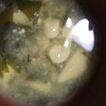 わっきー子's cooksnap of when they made エリンギとわかめのお味噌汁.