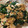 舞鶴JAMBO's cooksnap of when they made ほうれん草の豆腐和え.