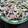 赤き血のイレブン's cooksnap of when they made 長いもと舞茸の胡麻ドレ炒め.