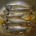Phaonia's cooksnap of when they made クロムツの姿煮♪.