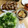 さちちね's cooksnap of when they made くるっと簡単♪豚薄切り肉でひとくち豚カツ.