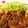 みるしー's cooksnap of when they made 鶏の照り焼き.