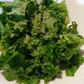 クックQNOM99☆'s cooksnap of when they made 激うま♡材料4つ サニーレタスサラダ.