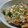 イエローバード's cooksnap of when they made 高野豆腐と野菜のたまごとじ.