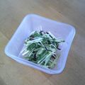 きいろとまと's cooksnap of when they made 水菜の塩こんぶ和え.