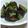 aileen♪'s cooksnap of when they made なすのオイチリ炒め煮.