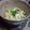あやっぷりん's cooksnap of when they made ５分で作れる！山芋(大和芋)の酢味噌あえ.