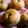 miyama222's cooksnap of when they made ふすま粉入りいちじくベーグル.