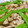 Rick_t's cooksnap of when they made おせち料理用蓮根と鶏肉のあっさり煮.