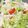 15himawari's cooksnap of when they made 白菜とりんごのさっぱりサラダ.