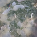 maroor's cooksnap of when they made 蟹大根鍋 簡単 絶品.