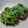 milestone★'s cooksnap of when they made 椎茸のねぎ塩のっけ.