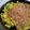 ひゅうま's cooksnap of when they made ねぎ玉.