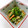 あっこ姉's cooksnap of when they made 南房総市給食◆菜花のごま和え.