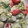 Mijumallow's cooksnap of when they made アスパラとトマトのマヨネーズあえ.