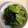 クックC18DJ9☆'s cooksnap of when they made 小松菜の海苔ゴマ和え♡.