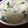 いちごとめ's cooksnap of when they made 土鍋で作る☆お餅入り七草粥.