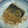 nyao8's cooksnap of when they made 今が旬☆あったか鰆のみぞれ煮.