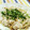 もえちゃんはは's cooksnap of when they made ごぼうとじゃこのバター炒飯.