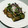 kixokiyo's cooksnap of when they made 鶏モモ肉のみぞれ和え　キノコとナス添え.