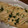 ﾋﾛﾘﾅ's cooksnap of when they made 油あげのハムチーズほうれん草のはさみ焼き.