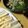 もりのりころ's cooksnap of when they made 海老とキノコのアヒージョ.