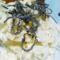 ごとちん★'s cooksnap of when they made やみつき！白菜と塩昆布のサラダ☆.