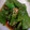 ユーロン's cooksnap of when they made いんげんの揚げ浸し.