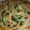 noboako's cooksnap of when they made もやしとにらのそぼろ炒め.
