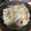 クックS04P5Y☆'s cooksnap of when they made 夏野菜の蒸ししゃぶ.