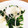 みゅーるしあな's cooksnap of when they made ほうれん草とエノキの大根おろしあえ.