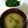 生まれは蜂蜜's cooksnap of when they made 銀葉草（ぎんばそう）の下ごしらえ.
