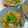 つぴ丸's cooksnap of when they made くにしゃんの牡蠣のみぞれ煮♪.