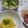 ここみ☆ゆりあママ's cooksnap of when they made 簡単！ゴーヤとツナのまろやか卵サラダ♪♪.