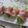 miyuki12's cooksnap of when they made キャベツのハム巻き.