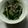 drive's cooksnap of when they made ☻あと1品！ほうれん草のナムル☻.