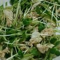 サーモン刺身's cooksnap of when they made 簡単✴ヘルシー♥鶏肉とカイワレのサラダ.