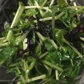 マリロ's cooksnap of when they made 止まらない♡豆苗をモリモリ食べるサラダ.